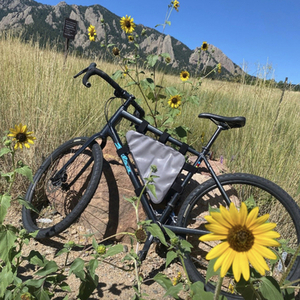 2023 Salsa Journeyer Black and Blue