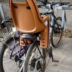 2020 Kona Dew Plus Silver, gray or bare metal