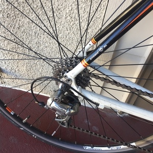 2017 Raleigh Grand Sport Black and White