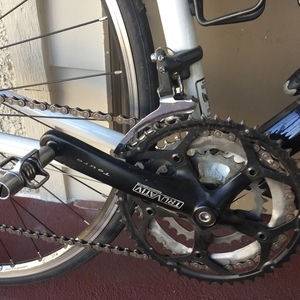 2017 Raleigh Grand Sport Black and White