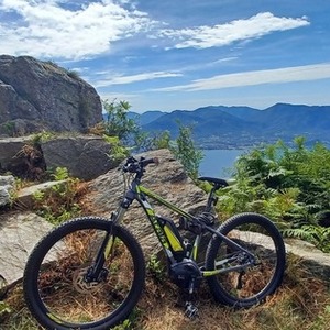 2018 Atala B-Cross CX500 9V ANTR/YL41 Silver, gray or bare metal and Yellow or Gold