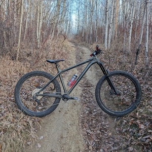 2020 NS Bikes Eccentric Green