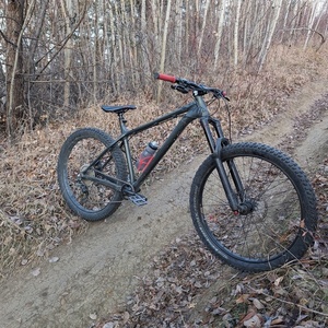 2020 NS Bikes Eccentric Green