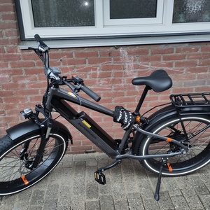 2022 Rad Power Bikes RR6E21V2663 Silver, gray or bare metal