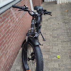 2022 Rad Power Bikes RR6E21V2663 Silver, gray or bare metal