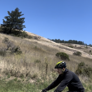 2020 Specialized Rockhopper Expert 1X Black