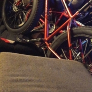 Mongoose dolomite Red