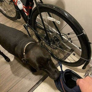 2020 Trek Checkpoint AL 3 Black