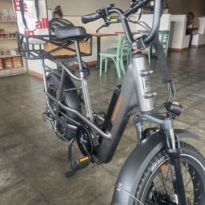 2023 Rad Power Bikes RadRunner 3 Plus