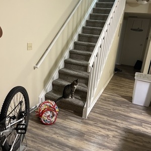 Trek 820 Stickers tape or other cover-up, White, and Teal