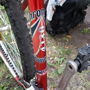 Norco Bikes Mountain bike Red