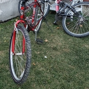 Norco Bikes Mountain bike Red