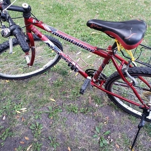 Norco Bikes Mountain bike Red