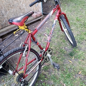 Norco Bikes Mountain bike Red