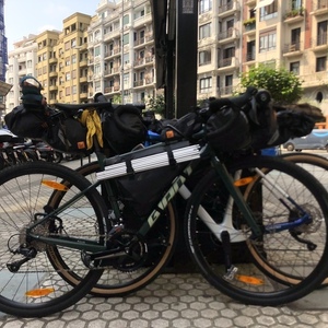 2021 Giant Aluminum gravel Green