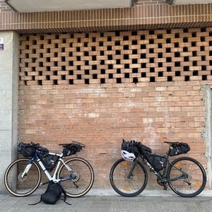 2021 Giant Aluminum gravel Green