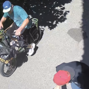 2023 Rad Power Bikes Rad Runner 2 Green