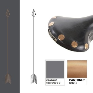 2015 Pake Silver or Gray