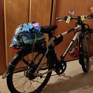 2023 Rad Power Bikes Silver, gray or bare metal