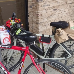 2023 Rad Power Bikes Silver, gray or bare metal