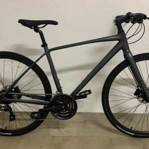 2022 Giant Escape Disc 2 Silver, gray or bare metal