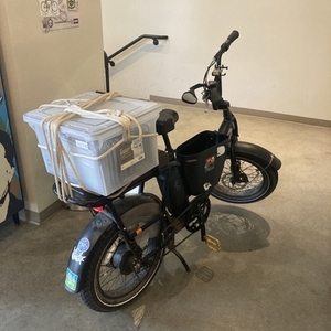 2022 Rad Power Bikes RadRunner 2 Electric Utility Bike Black