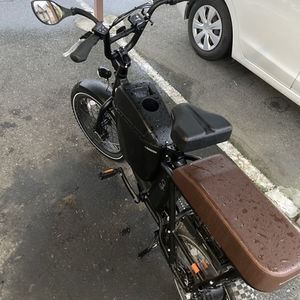 2022 Rad Power Bikes RadRunner 2 Electric Utility Bike Black