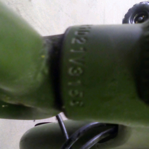 2020 Rad Power Bikes Rad runner Green