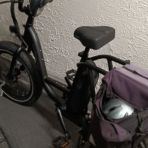 2022 Rad Power Bikes Roadrunner 2 Black