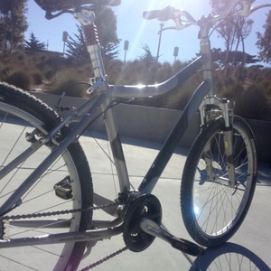 Specialized Expedition A1 Silver, gray or bare metal