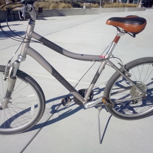 Specialized Expedition A1 Silver, gray or bare metal