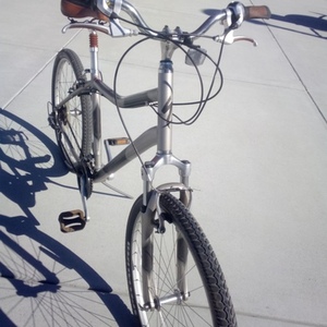 Specialized Expedition A1 Silver, gray or bare metal