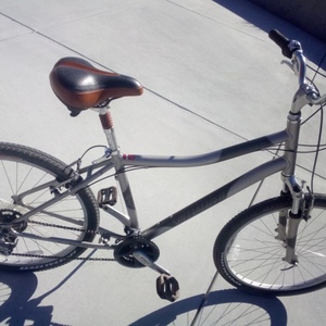 Specialized Expedition A1 Silver, gray or bare metal