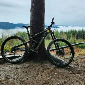 2015 Cannondale Jekyll Black and Yellow or Gold