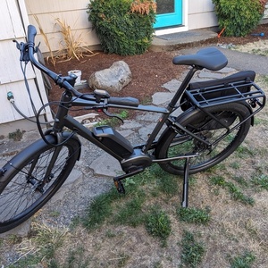 2023 Benno eScout Silver, gray or bare metal and Black