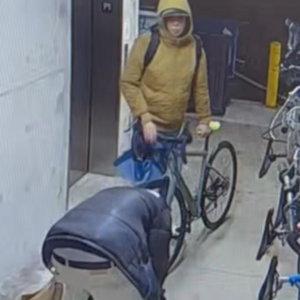 2023 Cannondale Topstone 4 Mango Small Orange and Yellow or Gold