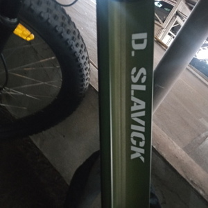 2022 M2S Bikes Sport HT (XL) Green