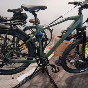 2022 M2S Bikes Sport HT (XL) Green
