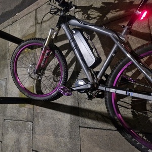 2006 GT Bicycles Ruckus 2.0 Silver, gray or bare metal