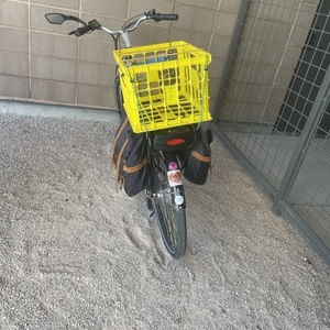 2022 Pedego City Commuter Black