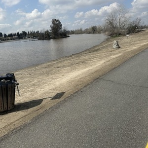 2021 Liv Small Brown