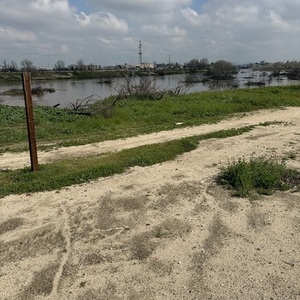 2021 Liv Small Brown