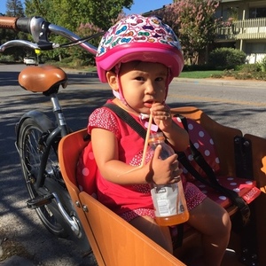 2015 Babboe City cargo bike (front storage) Silver or Gray