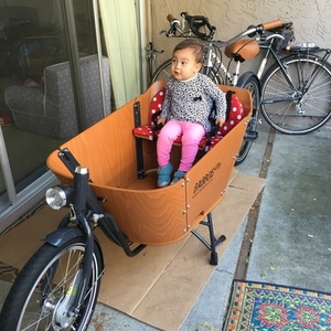 2015 Babboe City cargo bike (front storage) Silver or Gray