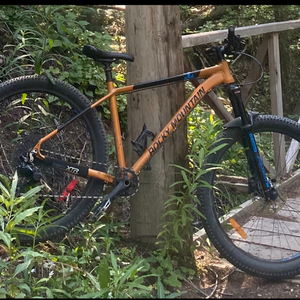 2019 Rocky Mountain Bicycles Growler Orange