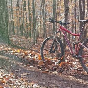 2015 Niner Jet 9 Red