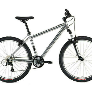 2004 Specialized Rockhopper Silver, gray or bare metal