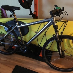 2004 Specialized Rockhopper Silver, gray or bare metal