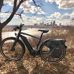 2023 Giant Quick E Silver, gray or bare metal