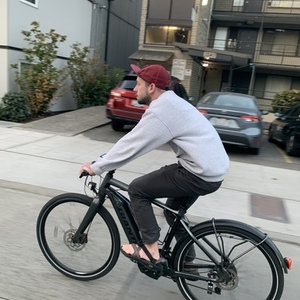 2023 Giant Quick E Silver, gray or bare metal